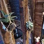 Prázdninový dům Le Sauna De L'homme De Bois By Naturogite Honfleur