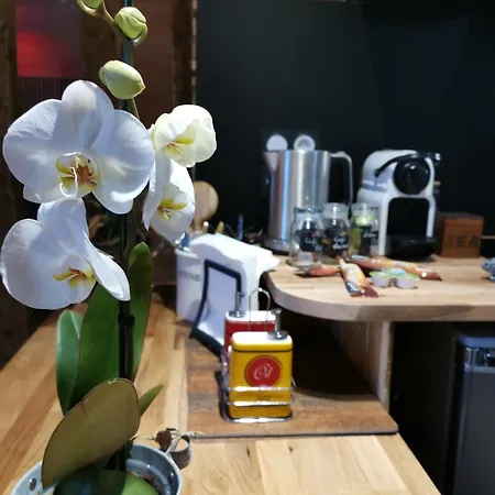 Casa vacanze Naturogite Centre Historique Avec Sauna Privé