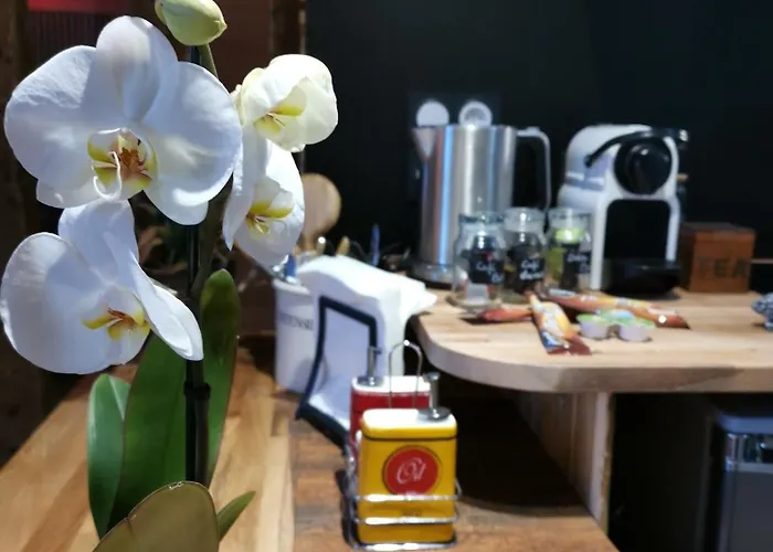 בית נופש Le Sauna De L'homme De Bois By Naturogite